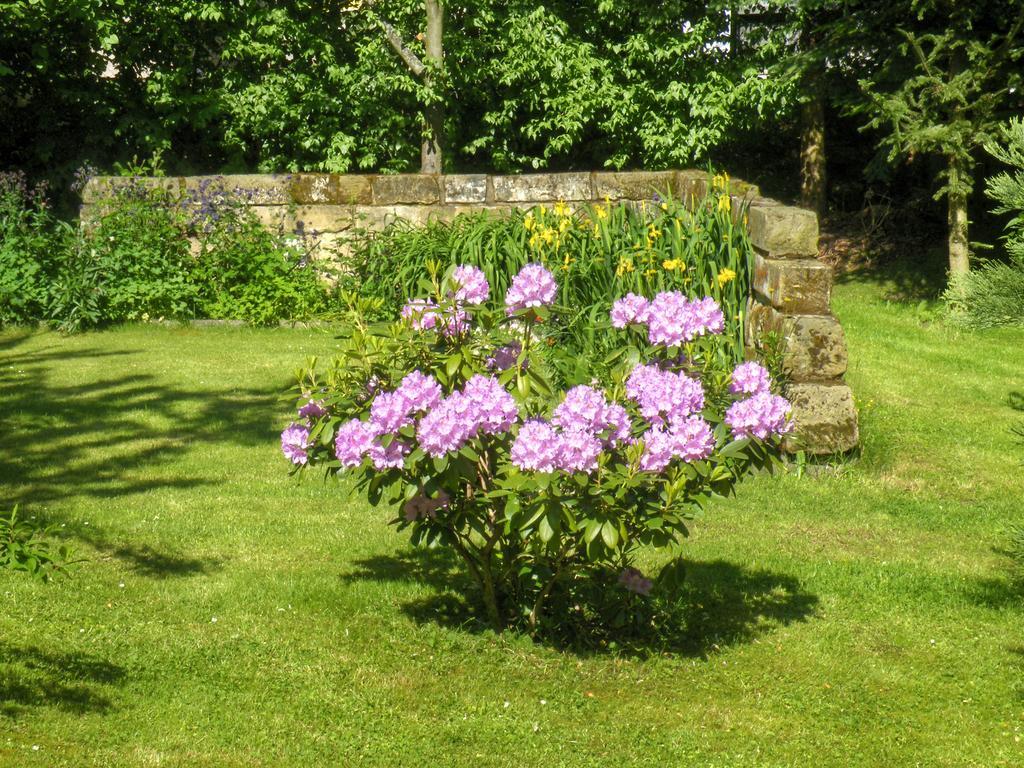 Am Lindenbaum Bed & Breakfast Sebnitz Luaran gambar
