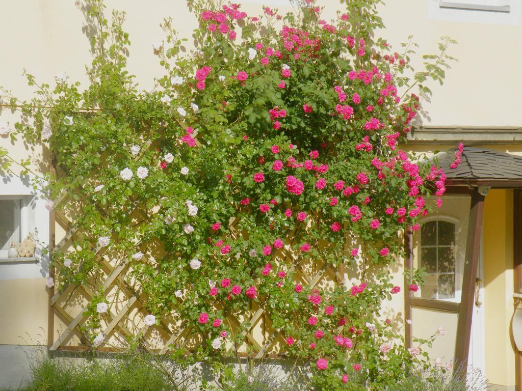 Am Lindenbaum Bed & Breakfast Sebnitz Luaran gambar